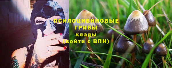 а пвп мука Надым