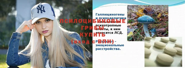 а пвп мука Надым