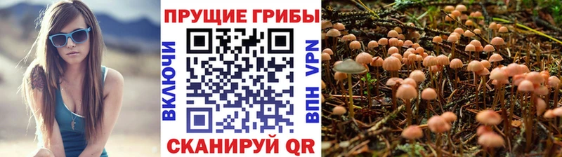 Купить закладки  Ейск  Галлюциногенные грибы Magic Shrooms 
